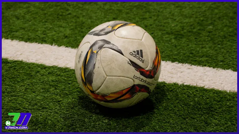 Câu hỏi thường gặp trên 7MCN: Giải đáp chi tiết cho người dùng 2 Câu hỏi thường gặp về tính năng mà 7M CN cung cấp cho hội viên