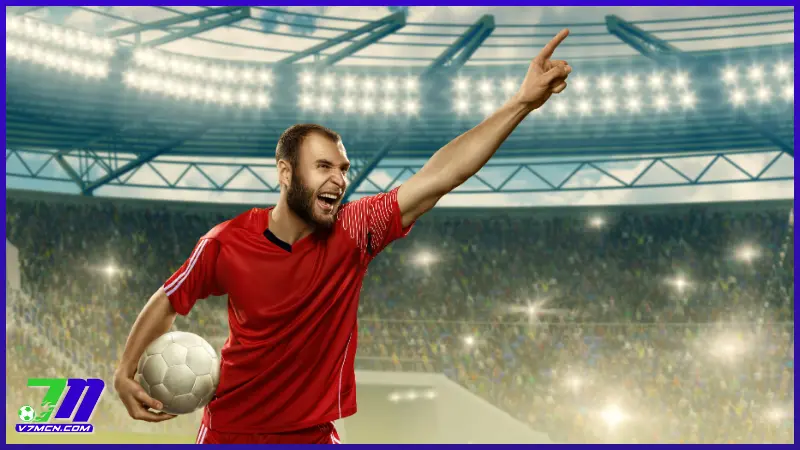 Trang chủ 26 Chất lượng hình ảnh HD sắc nét