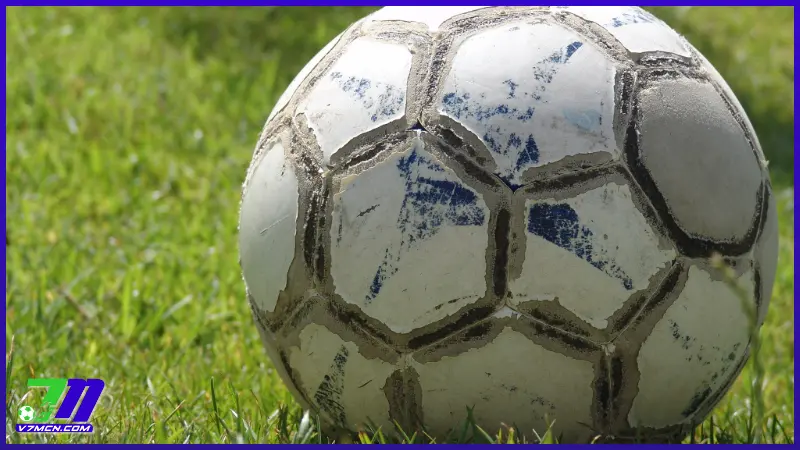 Kết quả bóng đá 7M: Cập nhật kết quả bóng đá trực tuyến nhanh chóng và chính xác 3 Đa dạng và đầy đủ các giải đấu lớn nhỏ