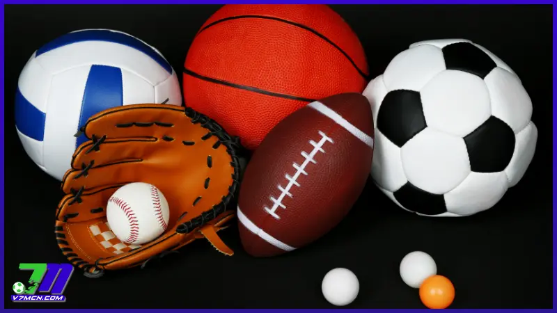 BTi Sport: Nhà cung cấp cá cược thể thao uy tín tại Việt Nam 3 Điểm danh những bộ môn thể thao nổi bật