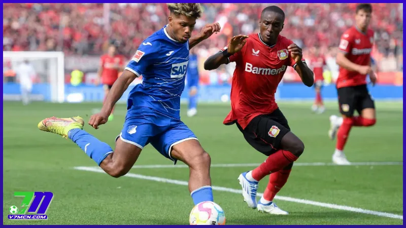 Lịch thi đấu và phát sóng giải VĐQG Đức tuần này (27/1-2/2/2025) 2 Lịch thi đấu Bayer Leverkusen vs Hoffenheim (02/02/2025 - 23:30)