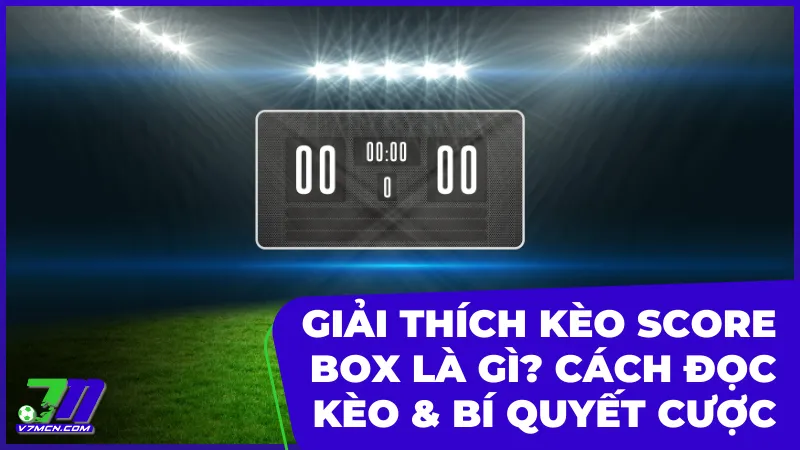 Kèo Score Box là gì? Cách đọc kèo bóng đá và bí quyết giành chiến thắng 12 kèo score box